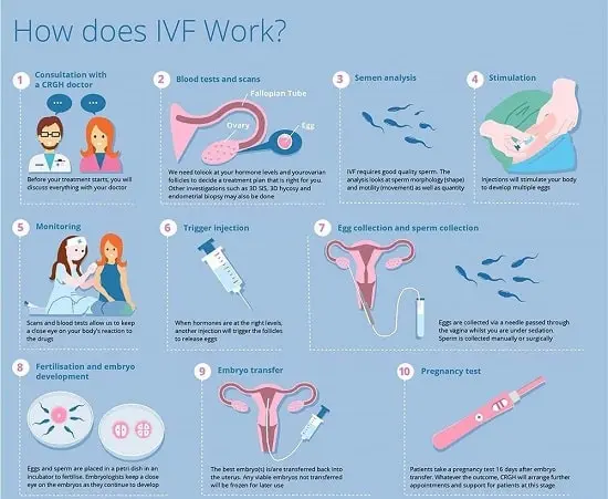 What IVF Treatment Means